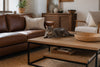 Durable Home Decor for Cat Owners: 2026 Guide