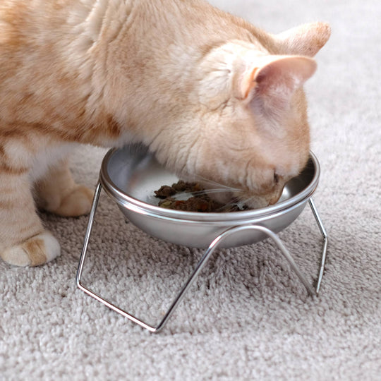 Stainless Steel Cat Bowls with Optional Stand – Made in USA