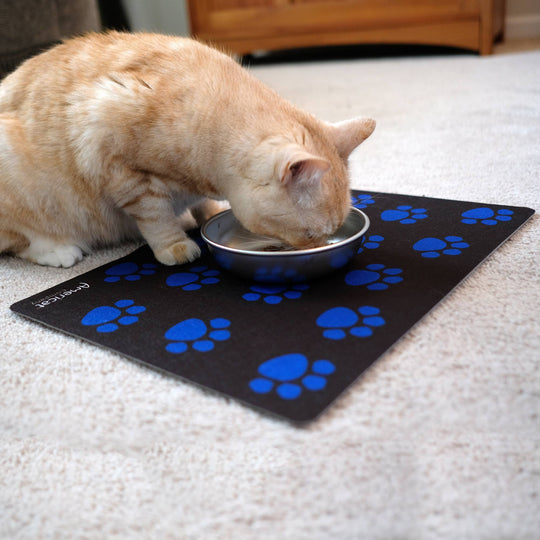 Cat Feeding Placemats – Made in USA Pet Food Mat