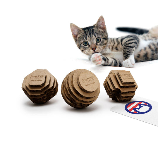 Kitty Batta-Balls Cat Toy – Made in USA Interactive Cat Toy