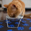 Stainless Steel Cat Bowls with Optional Stand – Made in USA