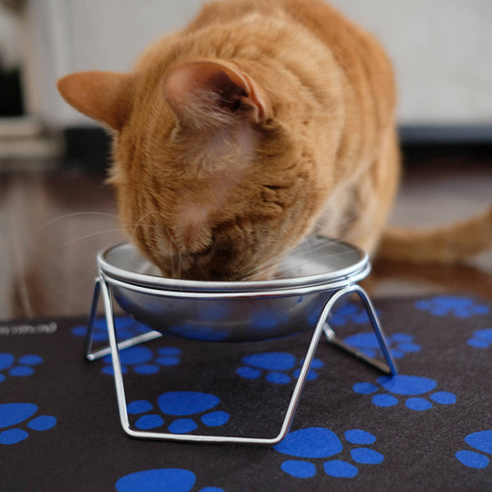 Stainless Steel Cat Bowls with Optional Stand – Made in USA