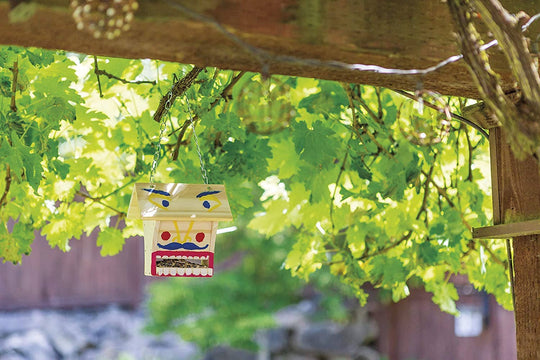 Beetle & Bee Little Birder Set – Bird Watching Kit for Kids