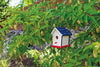 Beetle & Bee Little Birder Set – Bird Watching Kit for Kids