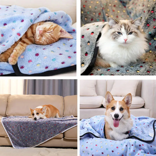 Super Soft Cute Kitty Flannel Blanket – Cozy Cat Throw in 3 Colors & Multiple Sizes