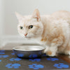 Cat Feeding Placemats – Made in USA Pet Food Mat