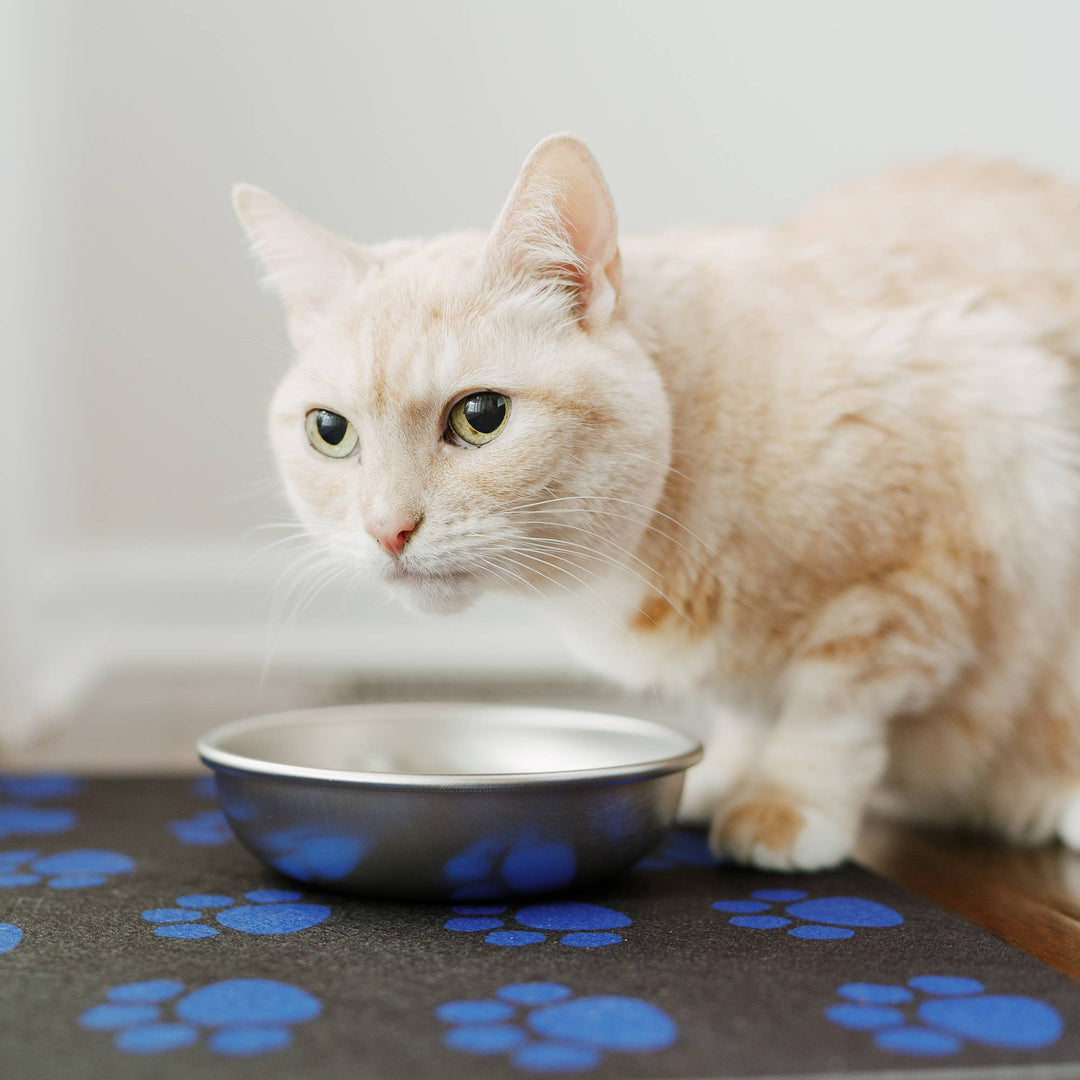 Cat Feeding Placemats – Made in USA Pet Food Mat
