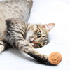 Kitty Batta-Balls Cat Toy – Made in USA Interactive Cat Toy