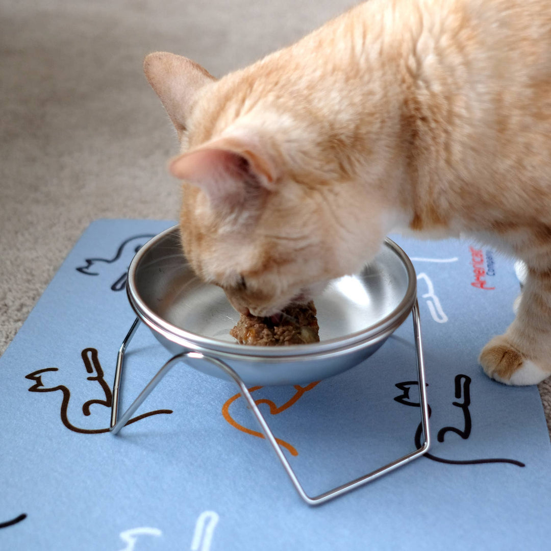 Stainless Steel Cat Bowls with Optional Stand – Made in USA